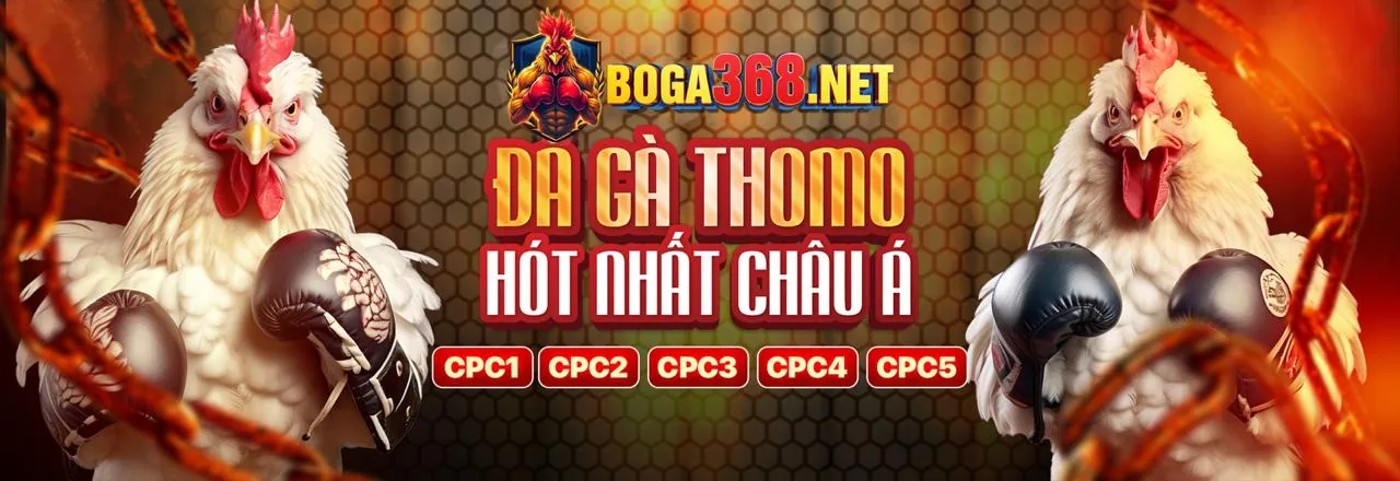 Hình ảnh sân vận động thể thao với các trận đấu sôi động